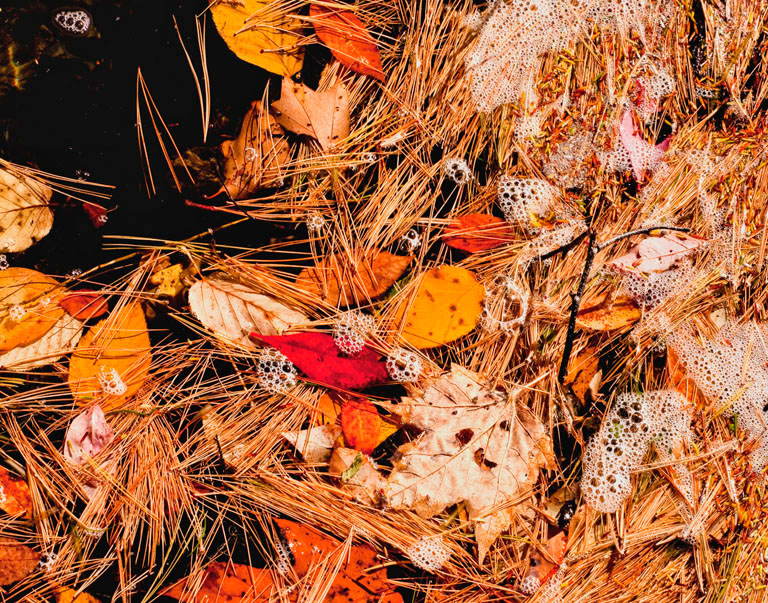 Fall colors